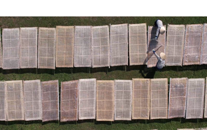 Đặc sản "cháy hàng" dịp Tết: Giúp chàng trai 25 tuổi cán mốc doanh thu 10 tỷ đồng