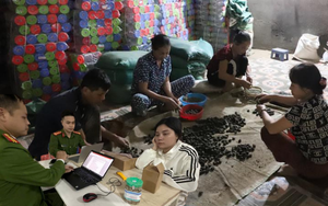 Đồng loạt khám xét 6 địa điểm ở 2 tỉnh trong chuyên án thuốc giả quy mô lớn, bắt Đoàn Thị Lam SN 1972