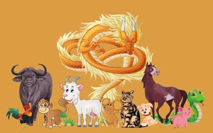 Tháng 1 âm 2 con giáp giàu có, sung túc, 2 con giáp lại cần đề phòng kẻ tiểu nhân