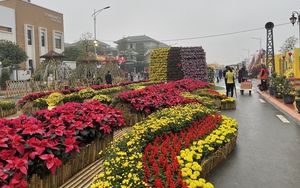 Hà Nội sẽ có thêm đường hoa đúng Tết năm nay: Lần đầu diễn ra tại Di sản UNESCO