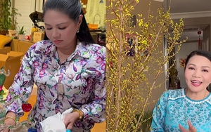 Nữ NSƯT sắm Tết cho nhà 2 triệu đô ở Mỹ, nói thẳng về tiền