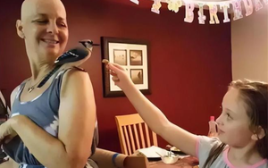 Được cứu sống lúc hấp hối, chú chim nhỏ "trả ơn" người phụ nữ mắc ung thư theo cách bác sĩ cũng ngỡ ngàng