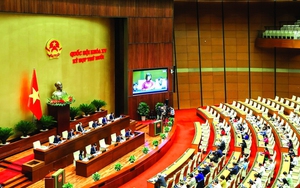 Những cải cách lịch sử