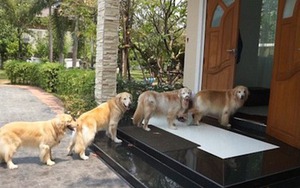 Cận Tết 2026: Nhà có 6 điều này báo hiệu điềm lành, vận khí khởi sắc