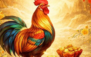 Bậc thầy phong thuỷ "điểm tên" 3 con giáp số đỏ bậc nhất năm Bính Ngọ 2026, dễ gặp quý nhân, tài lộc bùng nổ