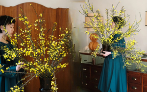 Mùa xuân nằm trọn trong một bình Nghênh Xuân: Sắc vàng rực rỡ, cành rủ mềm mại như suối tóc, chưng Tết vừa sang vừa hút lộc