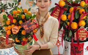 Chưa rinh chậu quất này coi như Tết vơi đi một nửa: Nhỏ thôi nhưng "gánh" trọn không khí xuân trong nhà