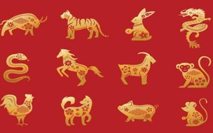 Trong 2 ngày từ 28 đến 29 Tết, 3 con giáp phát tài cực to, trúng số lên hương, tiền chất đầy két