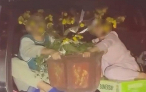 Thót tim clip 2 trẻ nhỏ ôm chậu mai ngồi trong cốp xe đang chạy ngoài đường, xem mà lạnh sống lưng