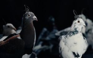 Tất cả đều xôn xao bàn luận công nghệ mới của Nga: Kẻ tin người ngờ nhưng phải công nhận là "giỏi nhưng sợ"