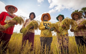 Một mặt hàng 300.000 tấn của Campuchia nhận tin vui lớn từ Việt Nam