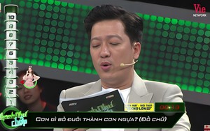 Con gì bỏ đuôi thành con ngựa? 90% người đã trả lời sai!