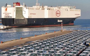 Sát vách Mỹ, hơn 6 triệu dân tại quốc gia này muốn mua xe điện Trung Quốc