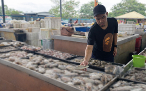 Bé gái nhận nhầm người bán cá là bố, về nhà kể lại khiến cả gia đình bàng hoàng, bí mật chôn vùi 42 năm bị hé lộ