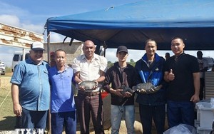 Một loài cá của Việt Nam từng tạo "kỳ tích" ở Cuba, được Mỹ tăng mua 499%