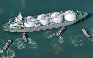 Sau một năm, nền kinh tế hơn 20 nghìn tỷ USD vẫn chưa nối lại nhập khẩu mặt hàng chủ chốt của Mỹ, 2 'ông trùm' khác nhảy vào chiếm phần