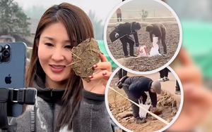 Kiếm gần 1 triệu đô nhờ mổ lợn, cô gái trẻ khiến đất quanh nhà hóa bùa hộ mệnh bán giá đắt hơn vàng