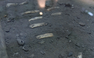 Hé lộ dấu tích người tiền sử ở hang động Việt Nam qua các bộ hài cốt 7.500 tuổi