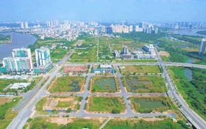 Tin vui đặc biệt chưa từng có cho lĩnh vực đóng góp 1,4 triệu tỷ đồng vào GDP Việt Nam