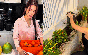 Diệp Lâm Anh gây bão với loạt clip nữ công gia chánh, phản hồi thẳng thắn khi netizen réo tên Vũ Thúy Quỳnh