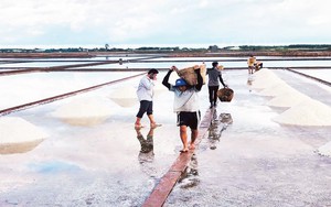 Kho "vàng trắng" miền cực Nam đất nước bất ngờ bứt phá, lần đầu chạm đỉnh 5 sao quốc gia