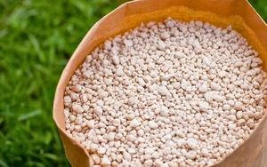 Rắc thứ này ra vườn trước tháng 3, cỏ dại khó nảy mầm, cây cối xanh tươi bất ngờ