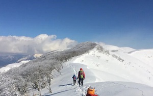 Lạc trên núi tuyết Nhật Bản, một phụ nữ Việt Nam tử nạn