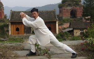 Thách đấu chưởng môn Võ Đang, thanh niên bị đánh nôn ra máu, xin bái sư