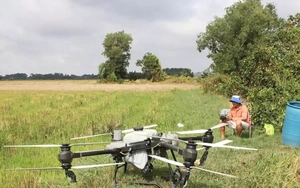 Đà Nẵng quyết 'dẹp' thiết bị bay không người lái trái phép