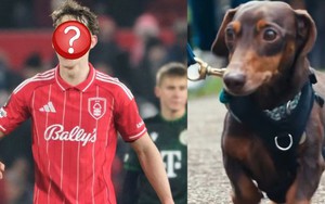 Cầu thủ bóng đá chi 35 triệu/tuần thuê người "dạy bảo" chú chó cưng hung hăng chỉ trực lao vào cắn người