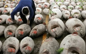 Việt Nam đón tin vui từ Mỹ