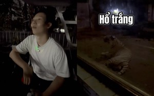 Khách Hàn ngã ngửa đi tour đêm mới biết dàn thú Thảo Cầm Viên cũng bị dí KPI