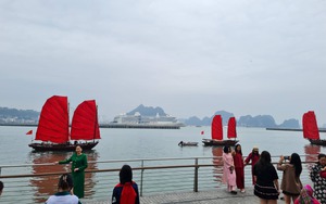 Chính thức: Tạm dừng hoạt động của thuyền buồm đỏ ven bờ vịnh Hạ Long, lý do là gì?