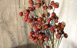 Tháng Giêng giữ 4 thứ này trong nhà: Xui xẻo đủ đường, tài lộc công danh bị chặn đứng