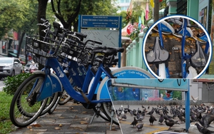 Xe đạp công cộng TP.HCM ế ẩm, du khách ngại dùng vì lý do khó tin