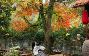 Dù giàu hay nghèo, trước khi trồng cây trong sân hãy nhớ 3 điều nên làm - 4 điều tuyệt đối tránh để khỏi “rước” rắc rối về nhà