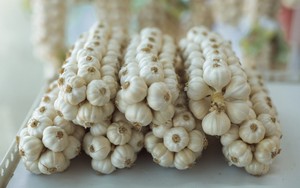 Gia vị dân dã của Việt Nam trồng tại nơi đặc biệt trở thành "vàng trắng": Giá đến 1,5 triệu đồng/kg