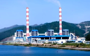 Nhiệt điện Quảng Ninh: Không chỉ phó tổng bị bắt, chủ tịch và CEO từng 'dính chàm'