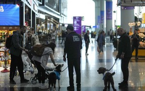 Khi sân bay thành "máy kéo" kinh tế siêu hạng