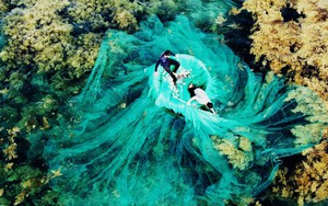 Việt Nam có "mỏ vàng dưới nước", mang về gần 900 triệu USD trong tháng 1: Trung Quốc, Nhật Bản ồ ạt mua