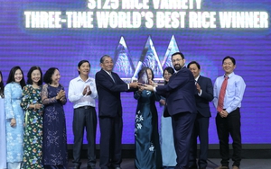 Bí mật giúp "vàng trắng" của Việt Nam 3 lần được vinh danh số 1 thế giới