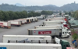 Thủ tướng chỉ đạo 'nóng' về thông quan hàng hóa