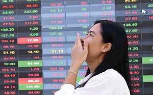 Thông tư 08 sẽ kích hoạt dòng vốn ngoại chảy vào chứng khoán Việt Nam, một nhóm ngành được đánh giá đặc biệt tích cực