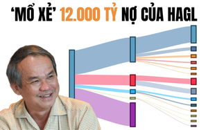 Chuyện chưa từng có trong 10 năm tại Hoàng Anh Gia Lai và sự thật lộ ra sau 1.000 tỷ đồng 'ân đức'