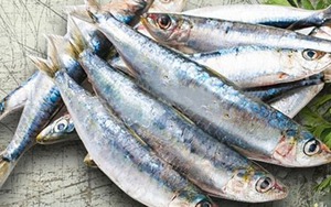 7 loại cá tích tụ thủy ngân nhiều bậc nhất