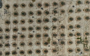 Iraq đang huấn luyện "vàng sa mạc" thành loại siêu chịu đựng