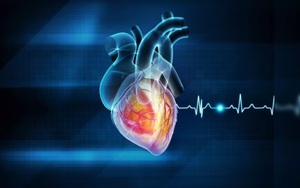 5 thói quen khiến trái tim ‘lâm nguy’, đột quỵ ‘chực chờ’: Nhiều người làm mỗi ngày mà không biết