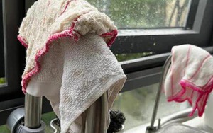 Đến lạy gia đình nào vẫn "chấp niệm" giữ 6 thứ độc hại này trong bếp