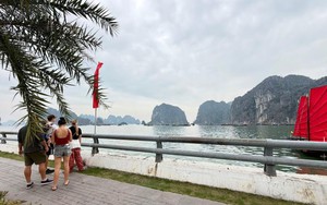 Cảnh tượng ngay lúc này trên vịnh Hạ Long: Sau gần 30 năm mới thấy lại, nhiều người không tin vào mắt mình