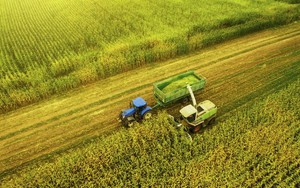 Tầng lớp tỷ phú mới nổi lên ở Nga